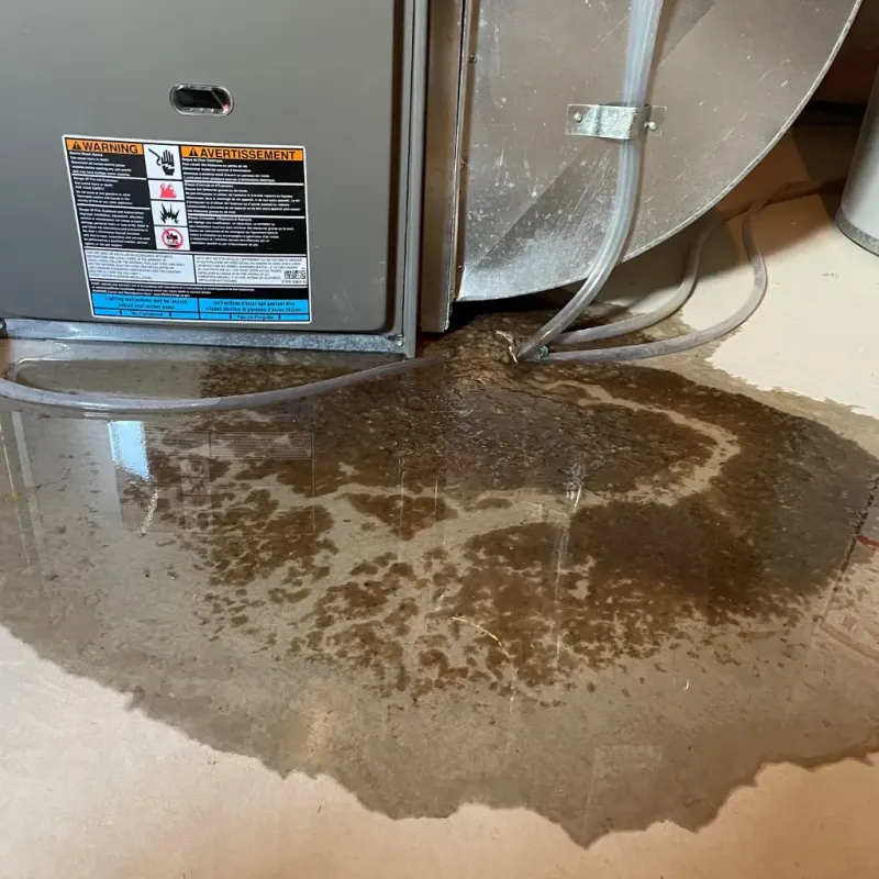 Appliance Leak Cleanup in Rancho Santa Margarita, CA